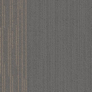 Picture of SFI Floors - Chicago Field Museum