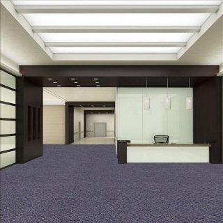 Picture of SFI Floors - Power Black and Blue