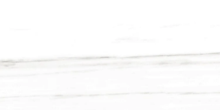 Picture of Milestone - Epic 12 x 24 Matte Dolomite