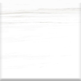 Picture of Milestone - Epic 24 x 24 Polished Dolomite