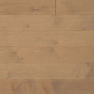 Picture of Appalachian Flooring - Signature Engineered 5 x 3/4 Matte Chardonnay Hard Maple Excel