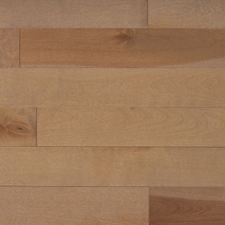 Picture of Appalachian Flooring - Signature Solid 3 1/4 Matte Biscotti Birch Excel