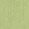 Picture of Tarkett - IQ Optima 12 x 24 Light Olive Green