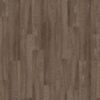 Picture of Palmetto Road - Velocity Ramble