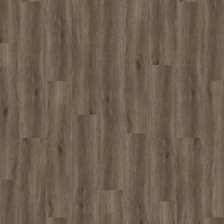 Picture of Palmetto Road - Velocity Tempo