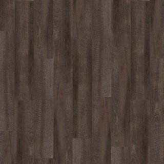 Picture of Palmetto Road - Journey Terrain