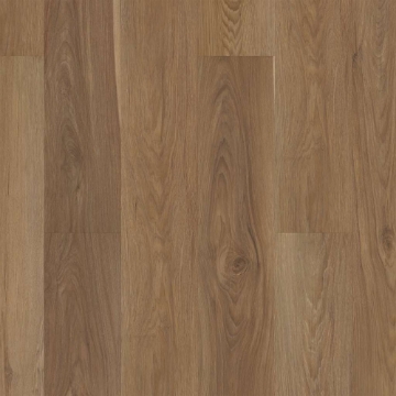 Picture of Shaw Floors - Pantheon HD Plus Natural Bevel Olive Tree