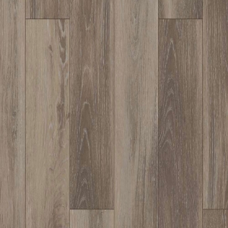 Picture of Shaw Builder - Lazio Plus Delfino