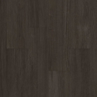 Picture of Philadelphia Commercial by Shaw - Silva Valley 20 Iron Mountain