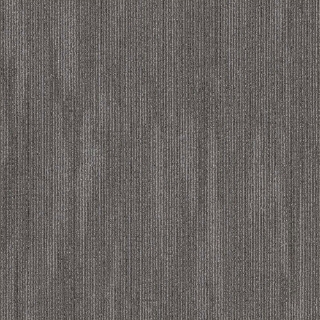 Picture of 5th and Main - Primal Belonging