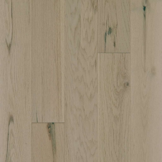 Picture of Shaw Builder - Mariner Oak Harbor