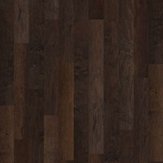 Picture of Shaw Builder - Gulf Breeze Bayfront