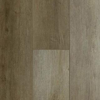 Picture of Audacity - Liberty Sedona