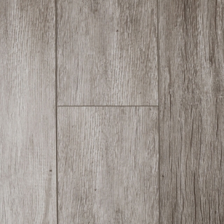 Picture of Audacity - Liberty Bar Harbor