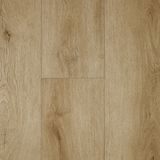 Picture of Audacity - Liberty Caldwell