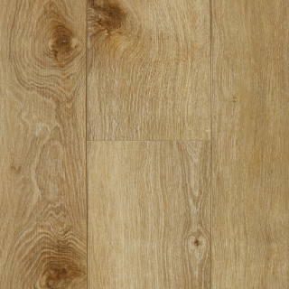 Picture of Audacity - Liberty Meridian