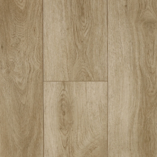 Picture of Audacity - Liberty Sandpoint