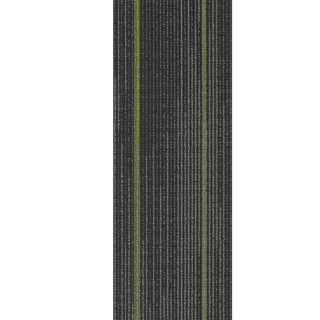 Picture of Pentz - Reverb Plank Parrot