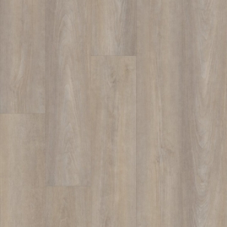 Picture of Shaw Builder - Supino HD Plus Cenere