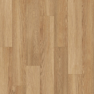 Picture of Palmetto Road - Velocity Desert