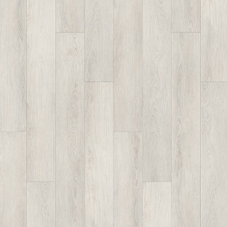 Picture of Palmetto Road - Sojourn Oasis