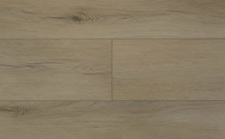 Picture of Audacity - Liberty Hampton