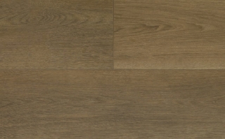 Picture of Audacity - Liberty Moab