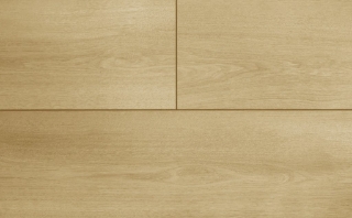 Picture of Audacity - Liberty Oahu