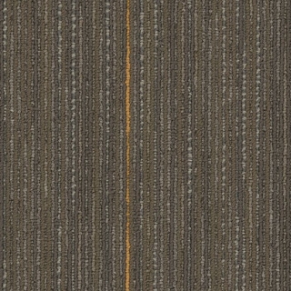 Picture of Joy - On Demand Higher Calling Formative