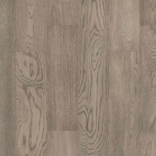 Picture of Shaw Builder - Citadel Baroness