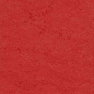 Picture of Toli International - Fasolplus Koi