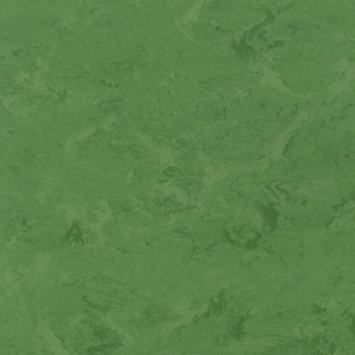 Picture of Toli International - Fasolplus Leaf