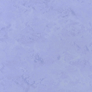 Picture of Toli International - Fasolplus Sky