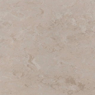 Picture of Toli International - Fasolplus Taupe