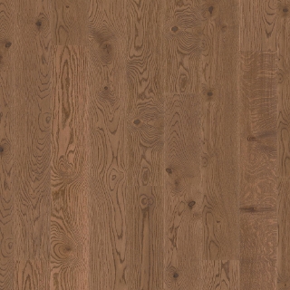 Picture of Boen - Norwegian Heritage Brazilian Brown