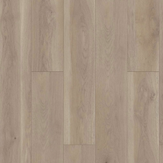Picture of Shaw Floors - Paragon HD Plus Natural Bevel Wisteria