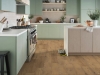 Picture of Shaw Floors - Paragon HD Plus Natural Bevel Franklin