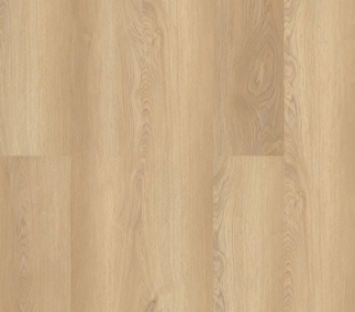 Picture of Philadelphia Commercial by Shaw - Fortitude White Sand