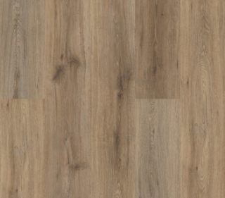 Picture of Philadelphia Commercial by Shaw - Fortitude Wild Dunes