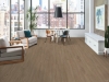 Picture of Philadelphia Commercial by Shaw - Ardent Chatter Oak