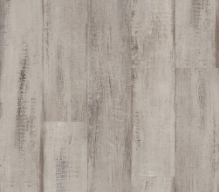 Picture of Philadelphia Commercial by Shaw - Fortitude Fresh Driftwood