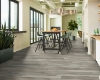 Picture of Philadelphia Commercial by Shaw - Fortitude Fresh Driftwood
