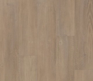 Picture of Philadelphia Commercial by Shaw - Fortitude Simple Wash