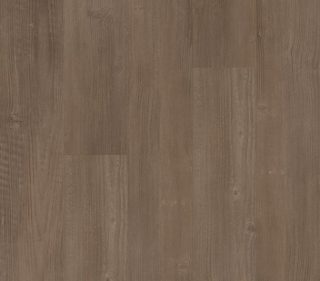 Picture of Philadelphia Commercial by Shaw - Fortitude Casual Comfort