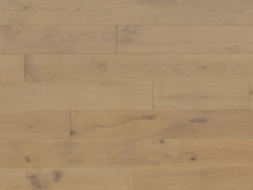 Picture of Monarch Plank - Lago Bolsena