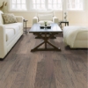 Picture of Shaw Floors - High Plains 5 Nomadic