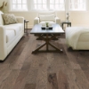 Picture of Shaw Floors - High Plains 5 Hide