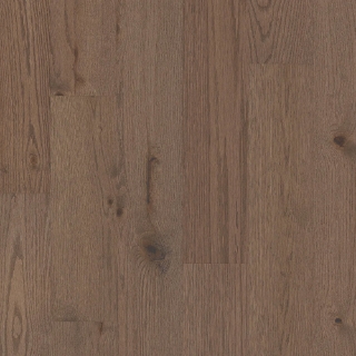 Picture of Shaw Floors - Exploration Oak Summit