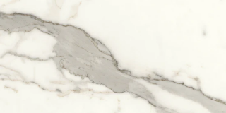 Picture of Milestone - Jem 12 x 24 Polished Capriccio Grey