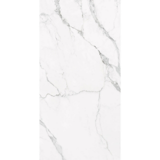 Picture of Happy Floors - Statuario 24 x 48 Statuario Glossy